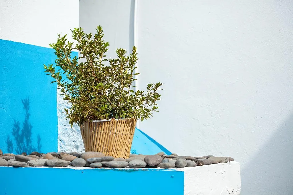 The Pallet - Guest House Santa Cruz